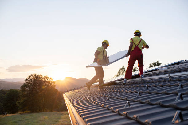 Best Asphalt Shingle Roofing  in Derma, MS