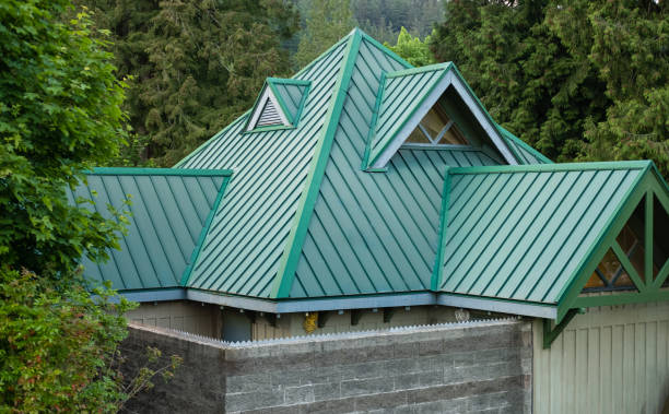 Best Solar Panel Roofing Installation  in Derma, MS