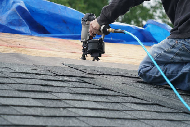 Best Metal Roofing Installation  in Derma, MS