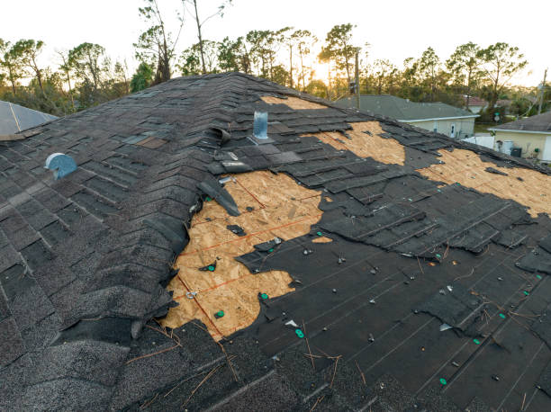 Best Sheet Metal Roofing  in Derma, MS
