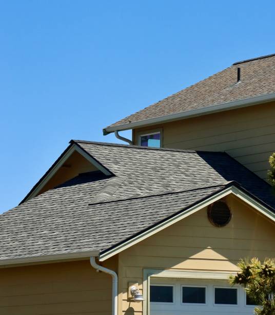 Best Skylight Installation and Repair  in Derma, MS